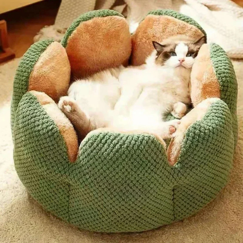 BLOOM Hunde- und Katzenbett