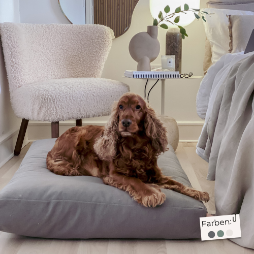 Labbvenn Hundekissen KIIMA