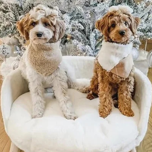 ARNE Hunde- und Katzensofa