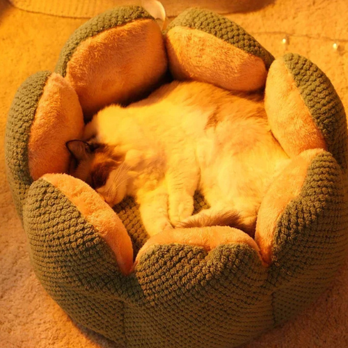 BLOOM Hunde- und Katzenbett