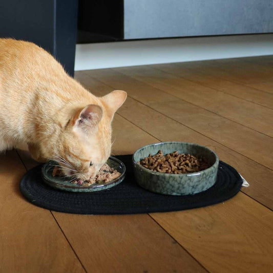 D&D Napfunterlage Phil