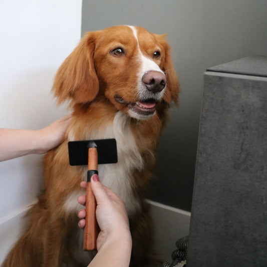 EBI Noir Japandi Slicker-Bürste