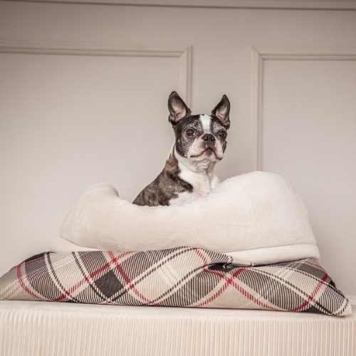 Pawla Petstore: King Louis Collection Kuschelsack KARO