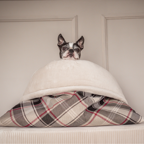 Pawla Petstore: King Louis Collection Kuschelsack KARO