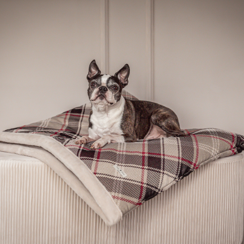 Pawla Petstore: King Louis Collection Kuschelsack KARO