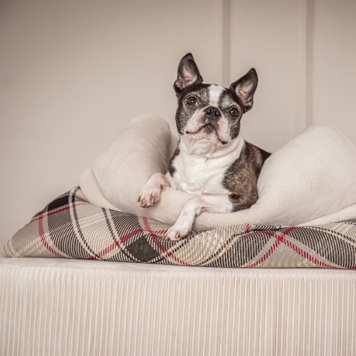 Pawla Petstore: King Louis Collection Kuschelsack KARO