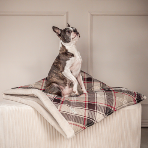 Pawla Petstore: King Louis Collection Kuschelsack KARO