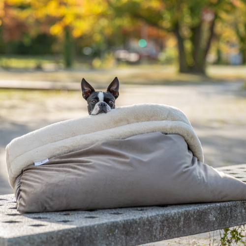 Pawla Petstore: King Louis Collection Kuschelsack WILDLEDER