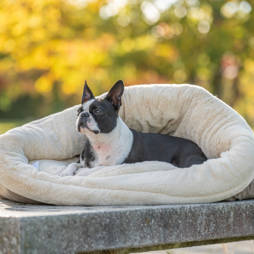 Pawla Petstore: King Louis Collection Kuschelsack WILDLEDER