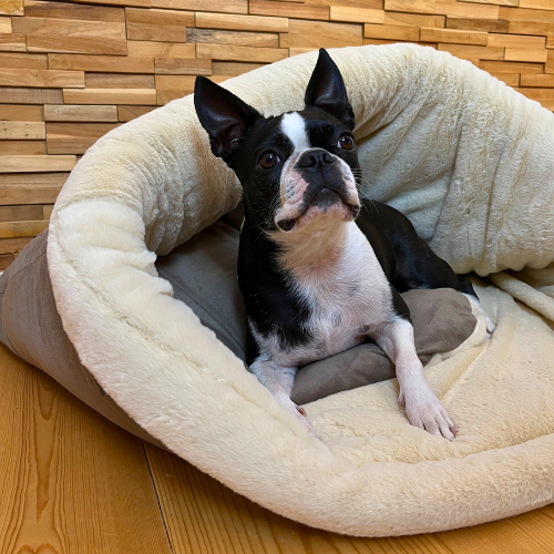 Pawla Petstore: King Louis Collection Kuschelsack WILDLEDER