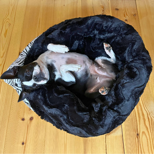 Pawla Petstore: King Louis Collection Kuschelsack ZEBRA