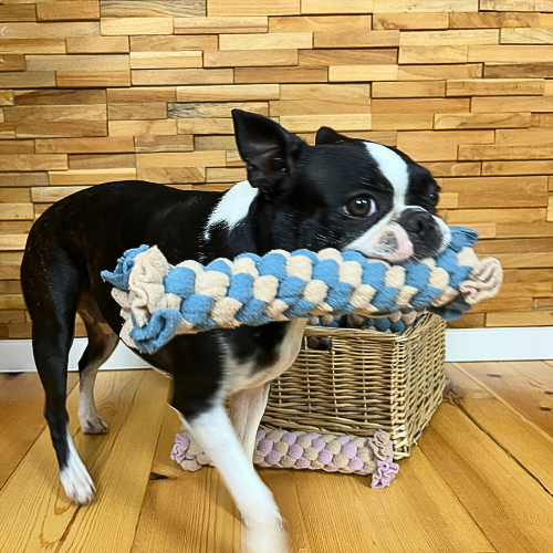 Pawla Petstore: King Louis Collection Zerrgel Hundespielzeug