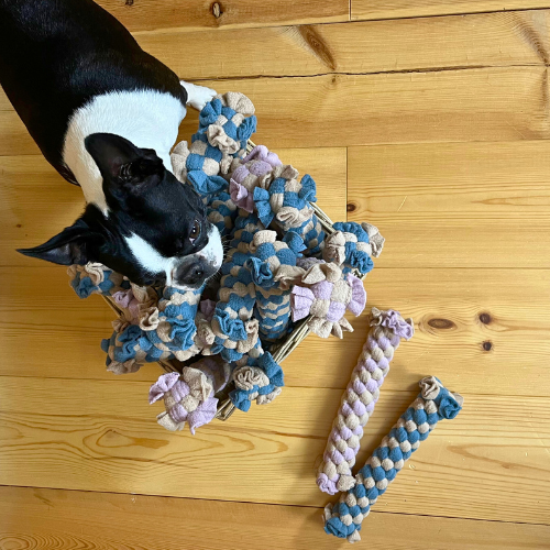 Pawla Petstore: King Louis Collection Zerrgel Hundespielzeug