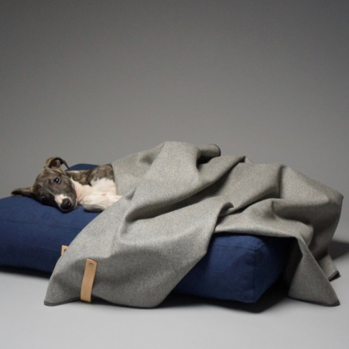 Labbvenn Decke ÅSNEN