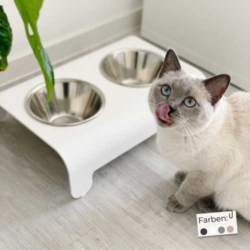 Labbvenn Futterstation für Katzen RICO