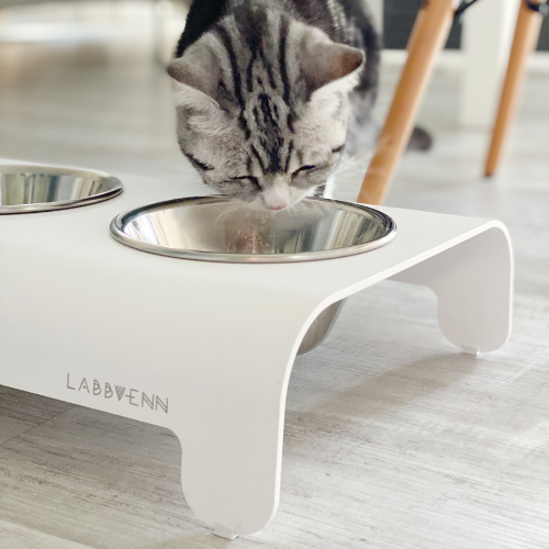 Labbvenn Futterstation für Katzen RICO