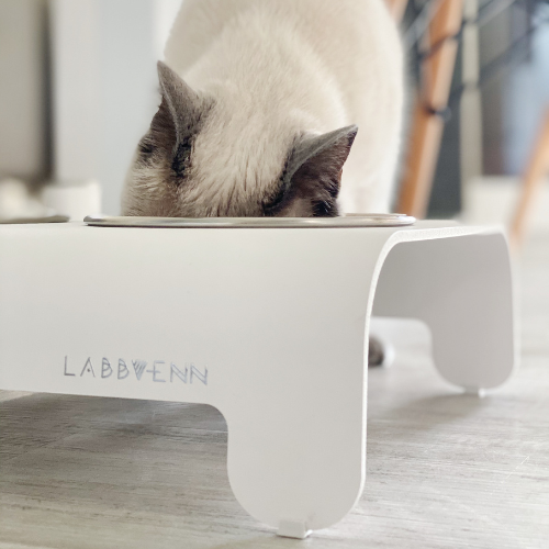 Labbvenn Futterstation für Katzen RICO