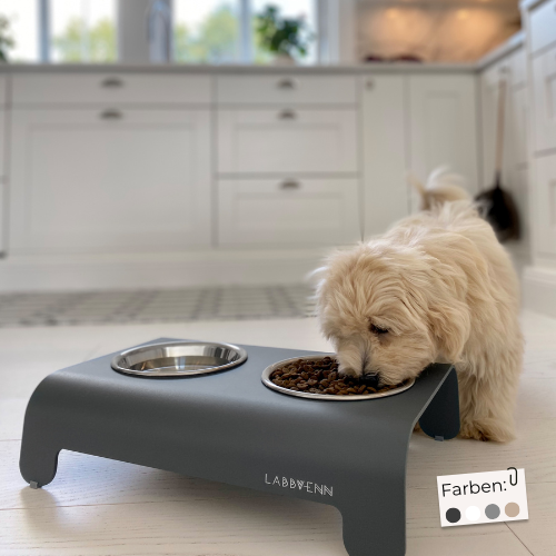 Labbvenn Futterstation für Hunde RICO