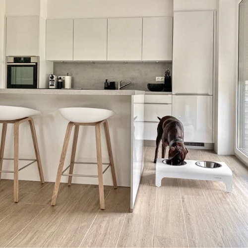 Labbvenn Futterstation für Hunde RICO