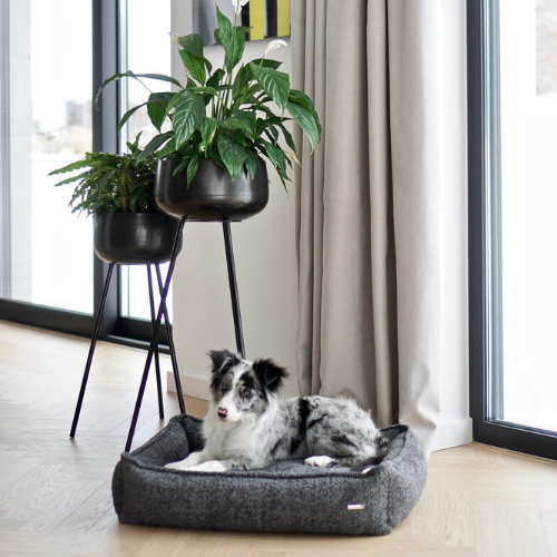 Labbvenn Hundebett BUKLAA