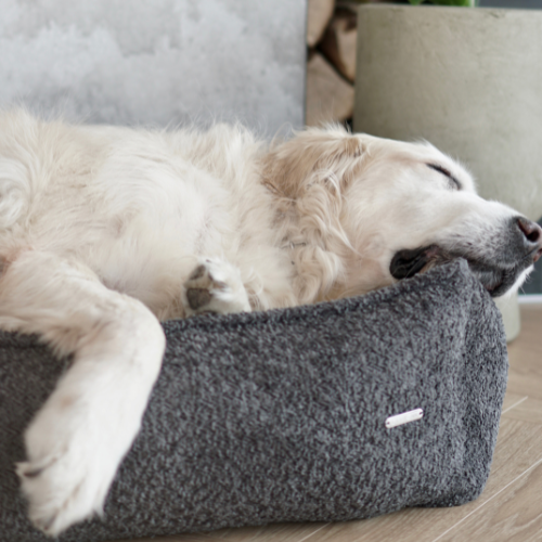 Labbvenn Hundebett BUKLAA