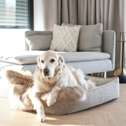 Labbvenn Hundebett BUKLAA
