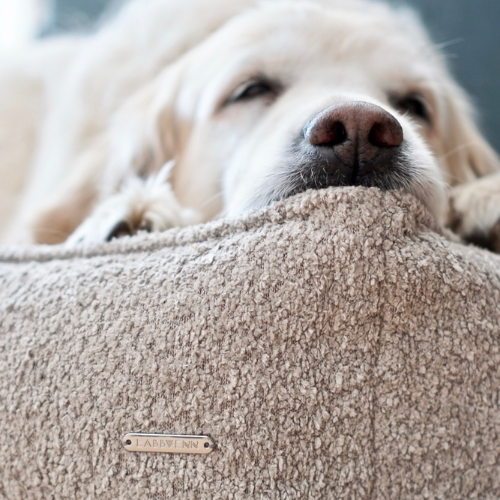 Labbvenn Hundebett BUKLAA