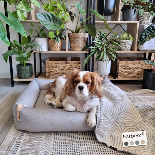 Labbvenn Hundebett MOE