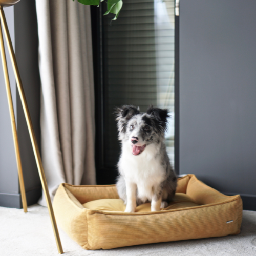 Labbvenn Hundebett STRIPPO