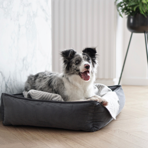 Labbvenn Hundebett STRIPPO