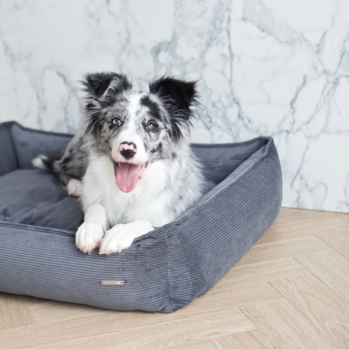 Labbvenn Hundebett STRIPPO