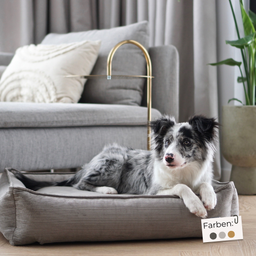 Labbvenn Hundebett STRIPPO
