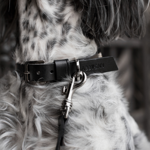 Labbvenn Hundehalsband KOLLU