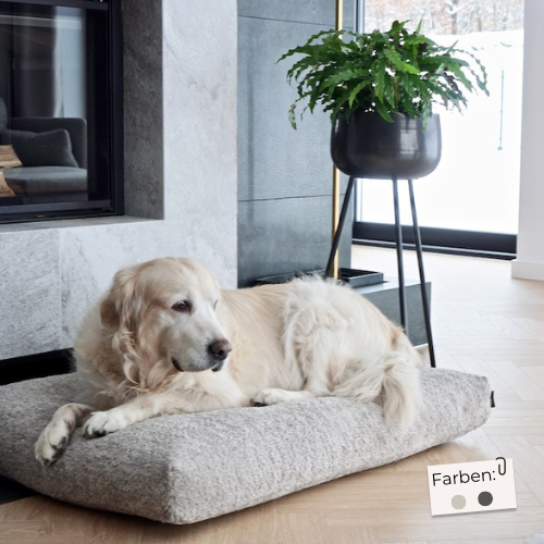 Labbvenn Hundekissen BUKLAA