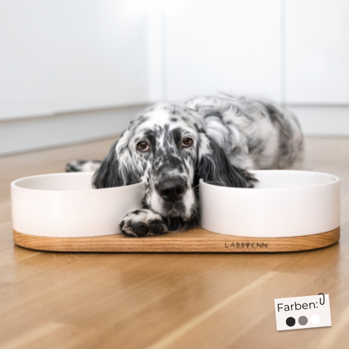 Labbvenn Keramik Futterstation für Hunde VUKU