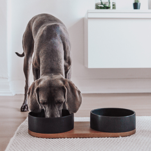 Labbvenn Keramik Futterstation für Hunde VUKU