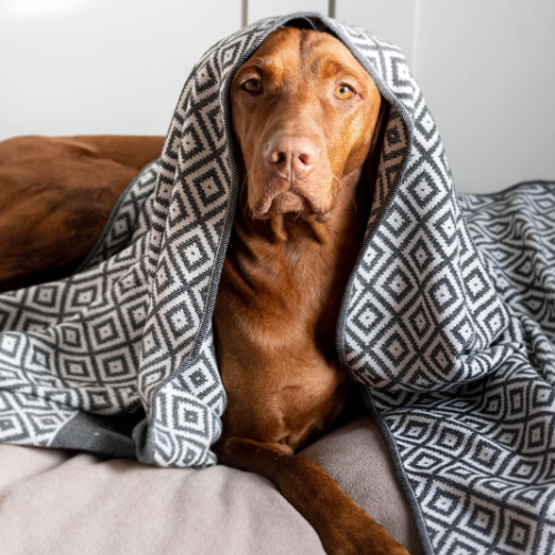 Labbvenn Handtuch LINAA