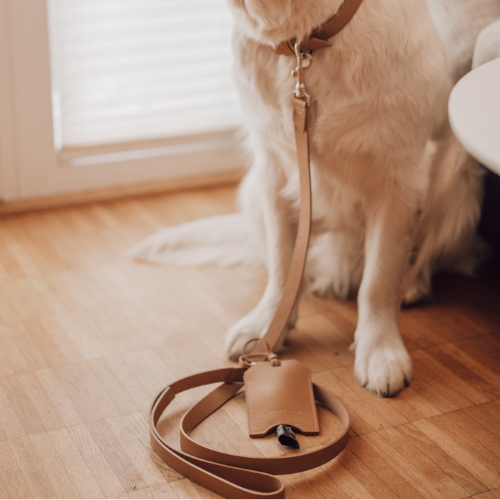 Labbvenn Set aus Leine LUSSA & Kotbeutelspender SAKU