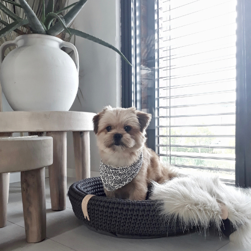 Labbvenn Hundekorb für kleine Hunde COCO