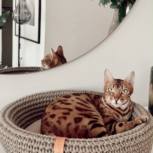 Labbvenn Katzenkorb COCO