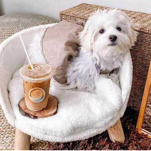 Pawla Petstore: ARNE Hunde- und Katzensofa