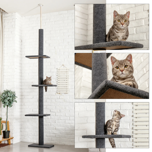 Pawla Petstore: EMIL Kratzbaum