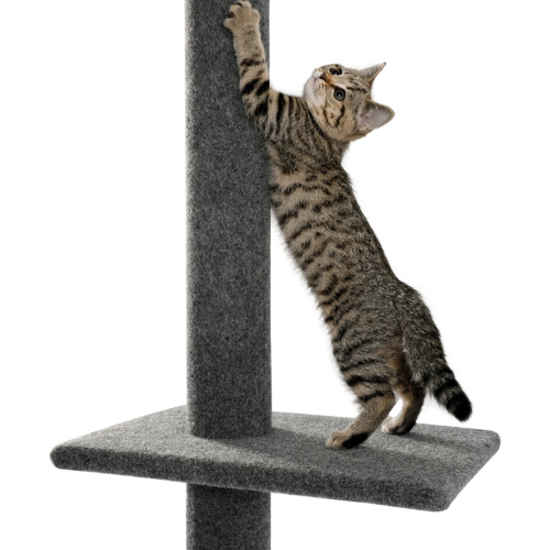 Pawla Petstore: EMIL Kratzbaum