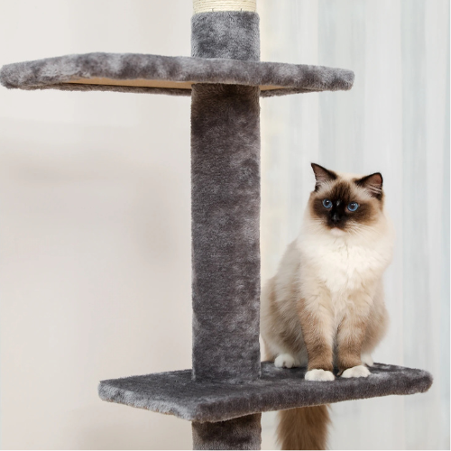 Pawla Petstore: EMMA Kratzbaum