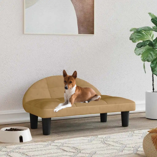 SAM Hundesofa aus Samt