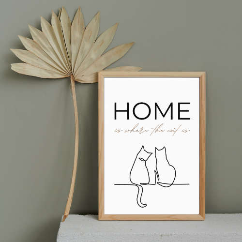 Poster – Home is where the cat is
