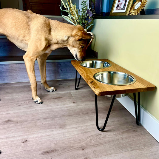 Styledog Wonderland Eiche Design Futterstation für große Hunde mit Edelstahlnäpfen