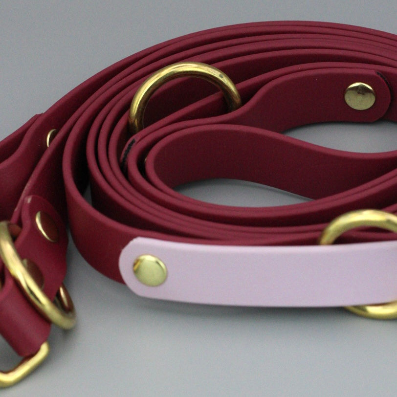 Styledog Wonderland Freihandleine "Gold Edition" Biothane