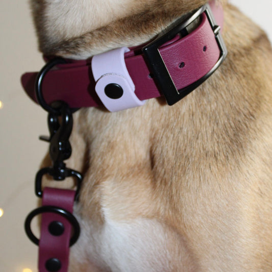 Styledog Wonderland Hundehalsband "Black Edition" Biothane