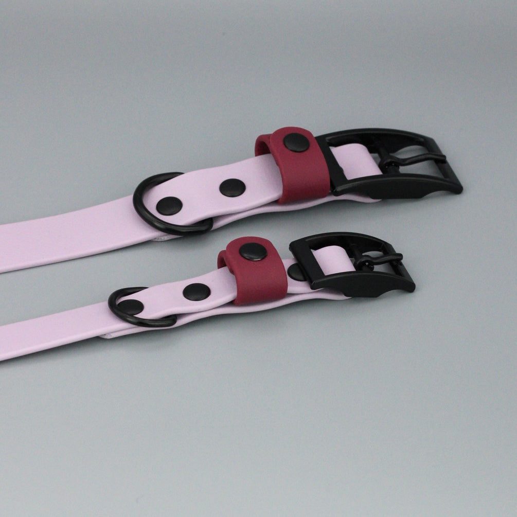 Styledog Wonderland Hundehalsband "Black Edition" Biothane